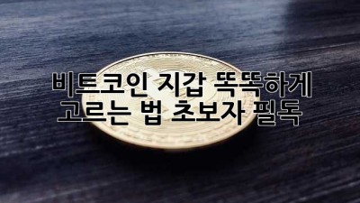 비트코인 지갑🔑 똑똑하게 고르는 법! (초보자 필독)