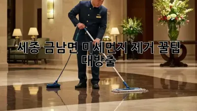 세종 금남면 미세먼지🌪️ 제거 꿀팁 대방출! ✨
